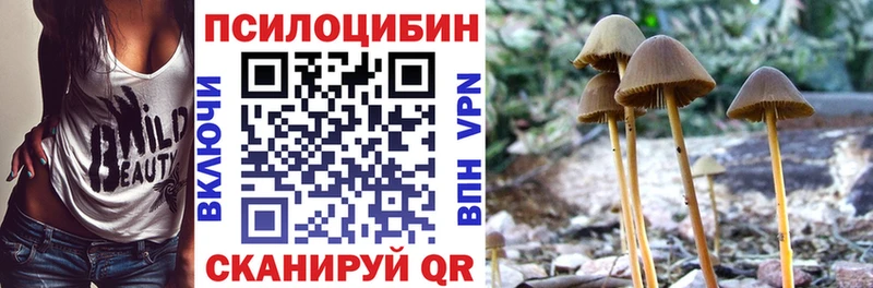 Купить закладки  Краснодар  Псилоцибиновые грибы мухоморы 